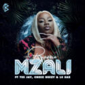 Bassie – Mzali (feat. Tee Jay, Cheez Beezy & Le Sax) | Amapiano ZA