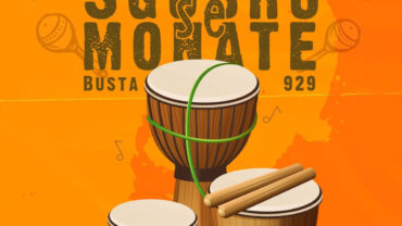 Busta 929 – Sgubhu Se Monate EP | Amapiano ZA