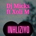 DJ Micks – Inhliziyo (feat. Xoli M) | Amapiano ZA