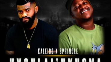 Kaleido & Springle – Uyohlal’ Ukhona (feat. T&T MuziQ & McGee Keys) | Amapiano ZA