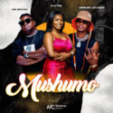 Kaytee – Mushumo (feat. Mr Brown & Airburn Sounds) | Amapiano ZA