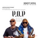 Kweyama Brothers – Piano Over Poverty (Album) | Amapiano ZA
