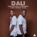 Mankay & Choco Dynasty, Pushkin RSA & Springle – Dali (feat. DJ Rhuu, Faith Strings & T&T Musiq) | Amapiano ZA