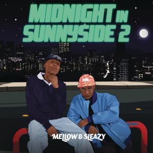 Mellow & Sleazy - Ndiya (feat. Xduppy, ShaunMusiQ & Ftears)