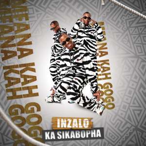 Mfana Kah Gogo - Inzalo Ka Sikabopha (Album)