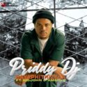 Priddy DJ – Bayaphithizela (feat. Big John & Amahle) | Amapiano ZA
