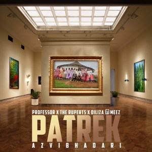 Professor, The Ruperts & Diliza - Patrek (Azvibhadari) (feat. Meez)