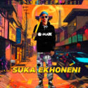 Q-Mark – Suka Ekhoneni (Album) | Amapiano ZA