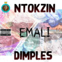 Sketchy Soundz – Emali (feat. Dimples & Ntokzin) | Amapiano ZA