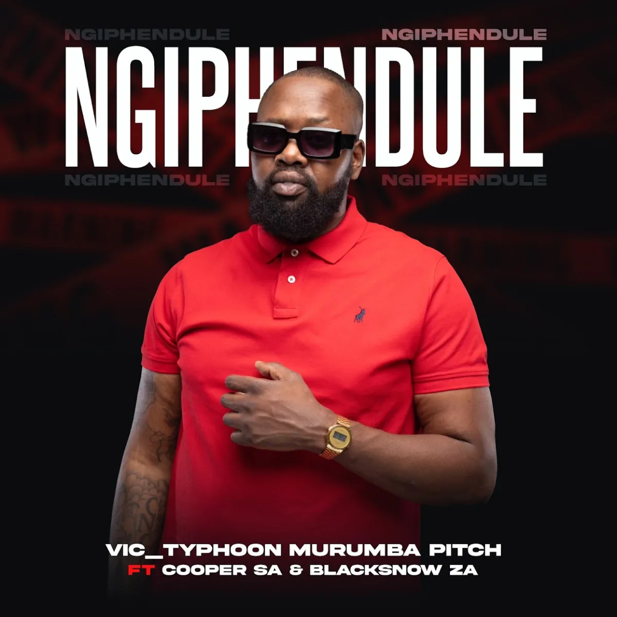 Vic_Typhoon & Murumba Pitch – Ngiphendule (feat. Cooper SA & BLACKSNOW) | Amapiano ZA